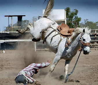 White Horse Bucking with Rider Falling in Dusty Arena
