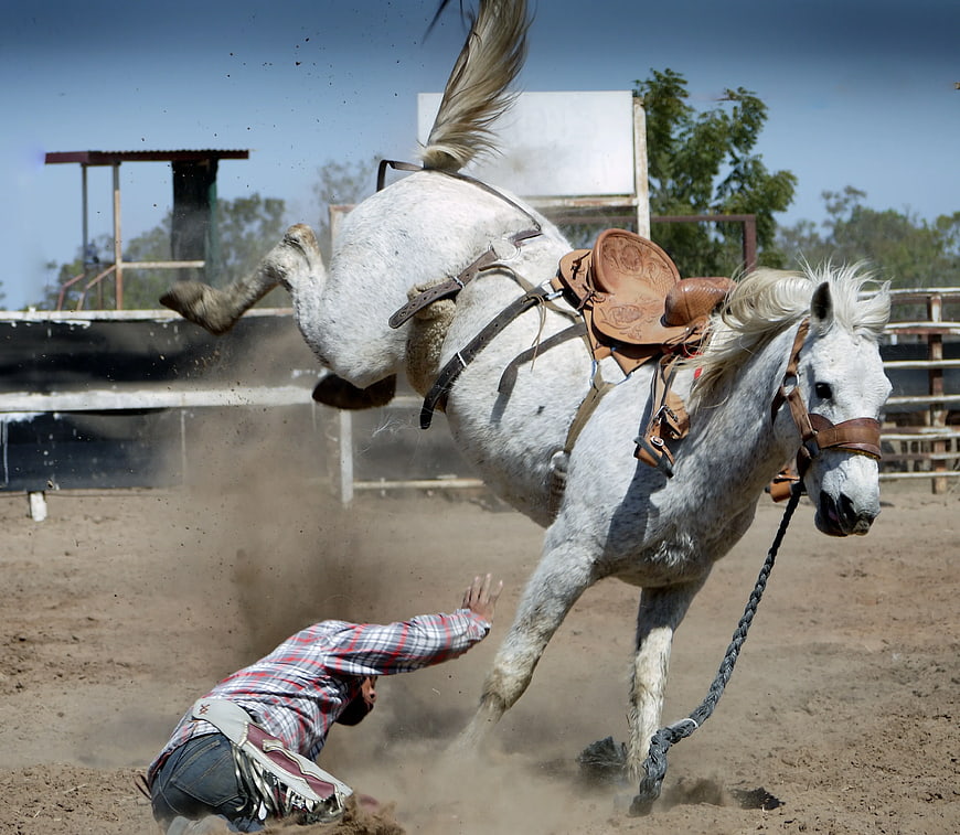 White Horse Bucking with Rider Falling in Dusty Arena