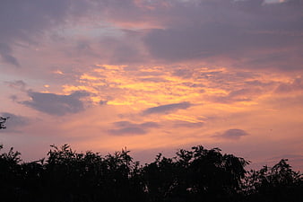 Vibrant orange and purple sunset sky with tree silhouettes