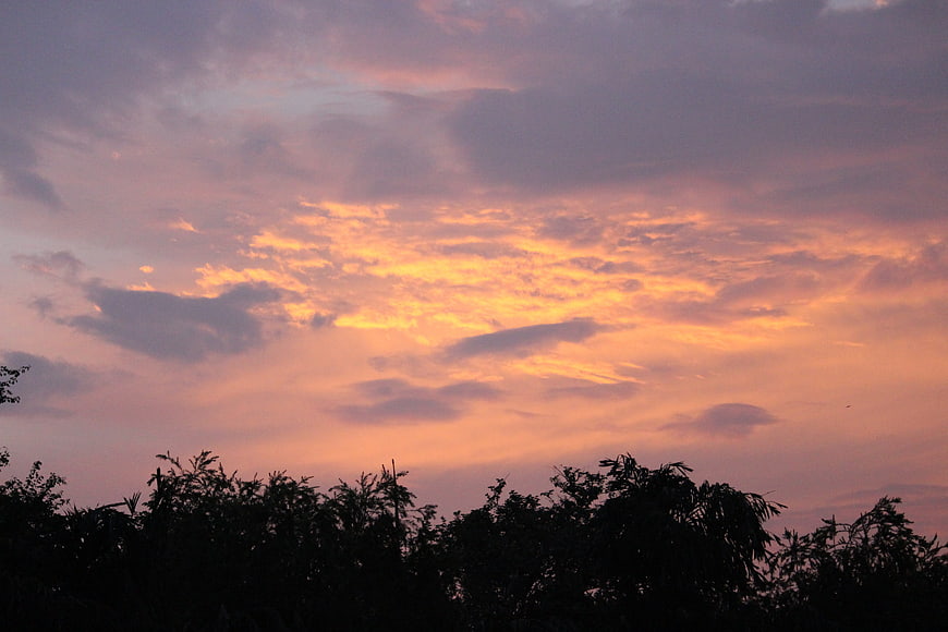 Vibrant orange and purple sunset sky with tree silhouettes