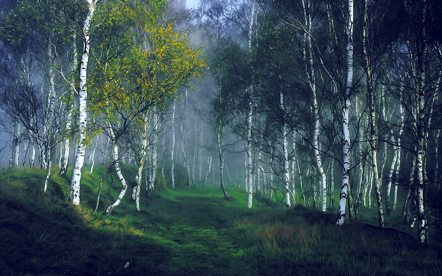 Mystical Birch Forest Landscape With Misty Morning Light