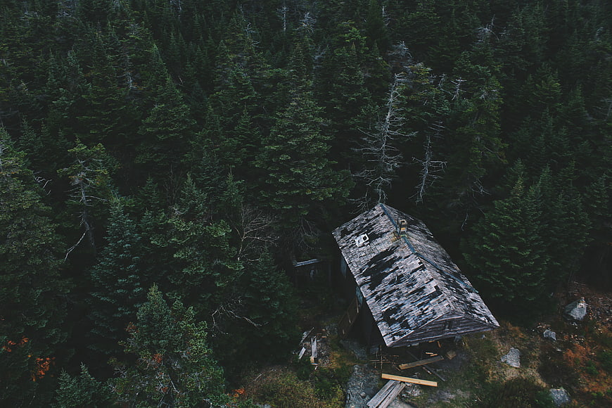 Aerial view of abandoned wooden cabin in dense pine forest