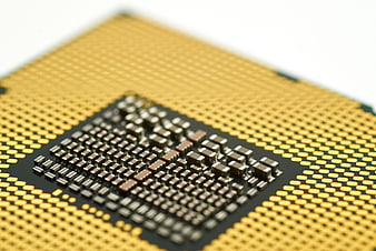 Close-up of CPU Processor Pins and Gold Contacts