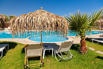 Relaxing Poolside Scene with Thatched Umbrella and Sunbeds