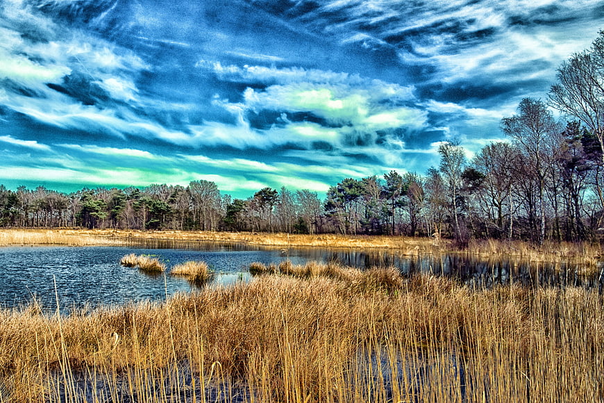 Dramatic Blue Sky Over Serene Wetland Landscape
