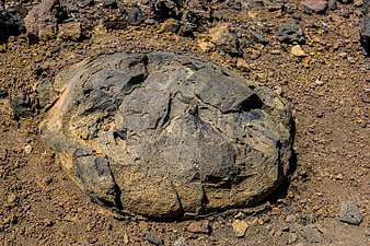 Close-up of textured volcanic rock on dry earth