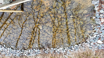 Aerial view of clear stream with tree reflections and rocky banks