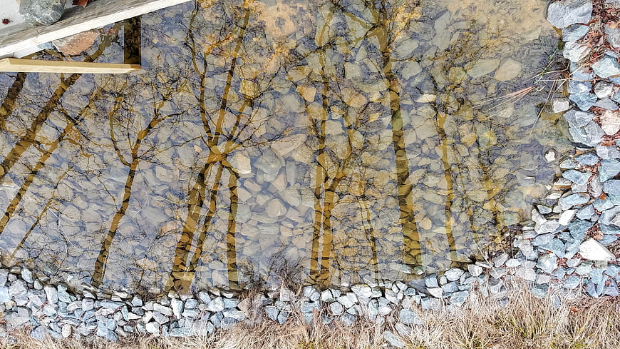 Aerial view of clear stream with tree reflections and rocky banks