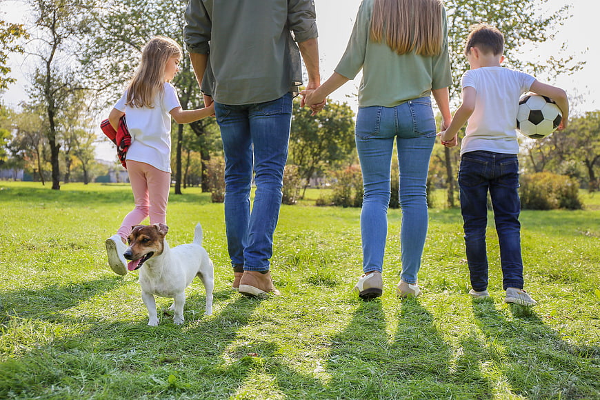 Happy family walking with dog in sunny park
