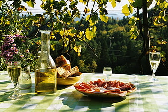 Outdoor picnic with wine, cured meat, and bread in vineyard