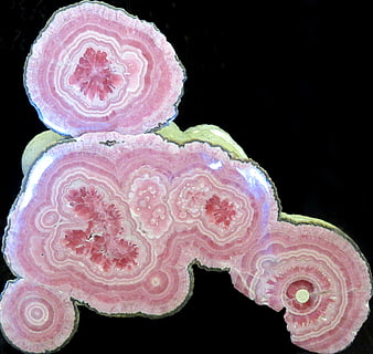 Polished Pink Rhodochrosite Mineral Slice on Black Background
