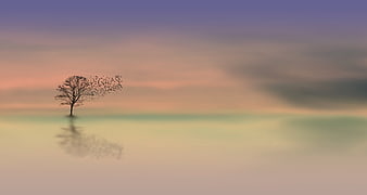 Silhouette of a tree with birds flying away at twilight