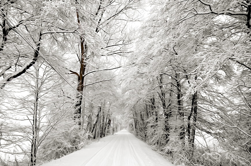 Snow-covered road through a winter forest tunnel