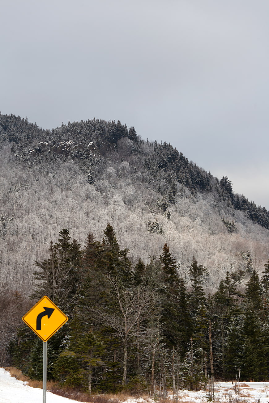 Yellow Curve Warning Road Sign in Snowy Winter Forest