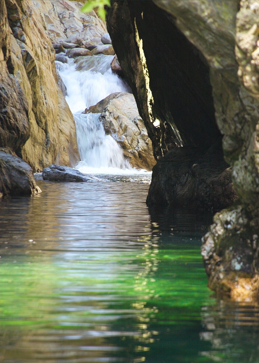 Hidden waterfall cascading into a serene green pool