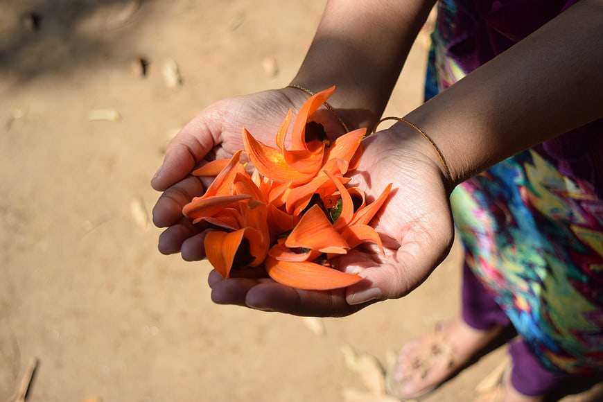 Woman holding bright orange flowers in cupped hands