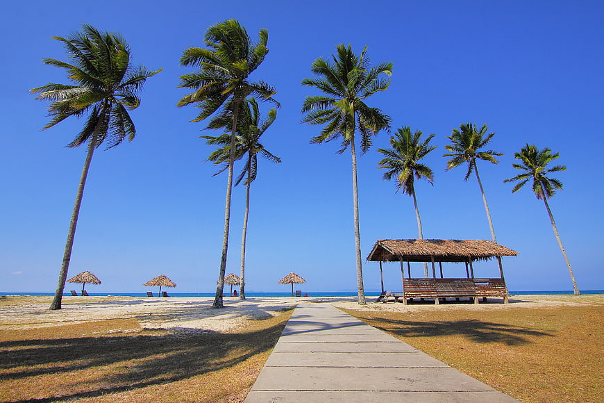 Tropical Beach Pathway with Palm Trees and Thatched Hut