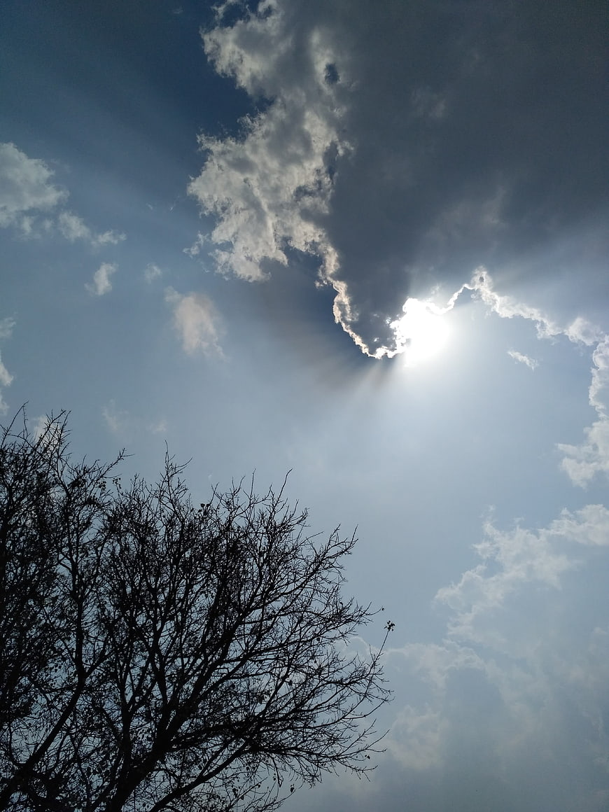 Sun rays breaking through clouds above bare tree silhouette