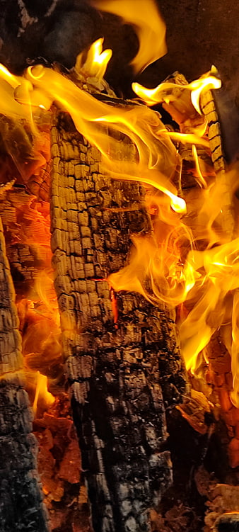Close-up of burning wood logs with bright yellow flames