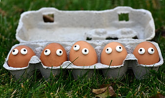 Five brown eggs with googly eyes in a carton on grass