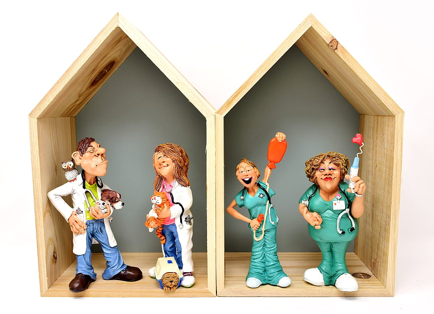 Colorful Ceramic Figurines of Veterinarians and Nurses in Wooden House Frames