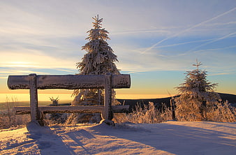 Frosty wooden bench in snowy winter landscape at sunrise