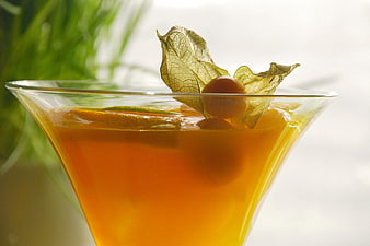 Close-up of orange cocktail with physalis garnish in martini glass