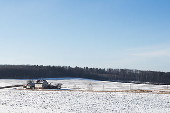 Snowy rural landscape with house and forest