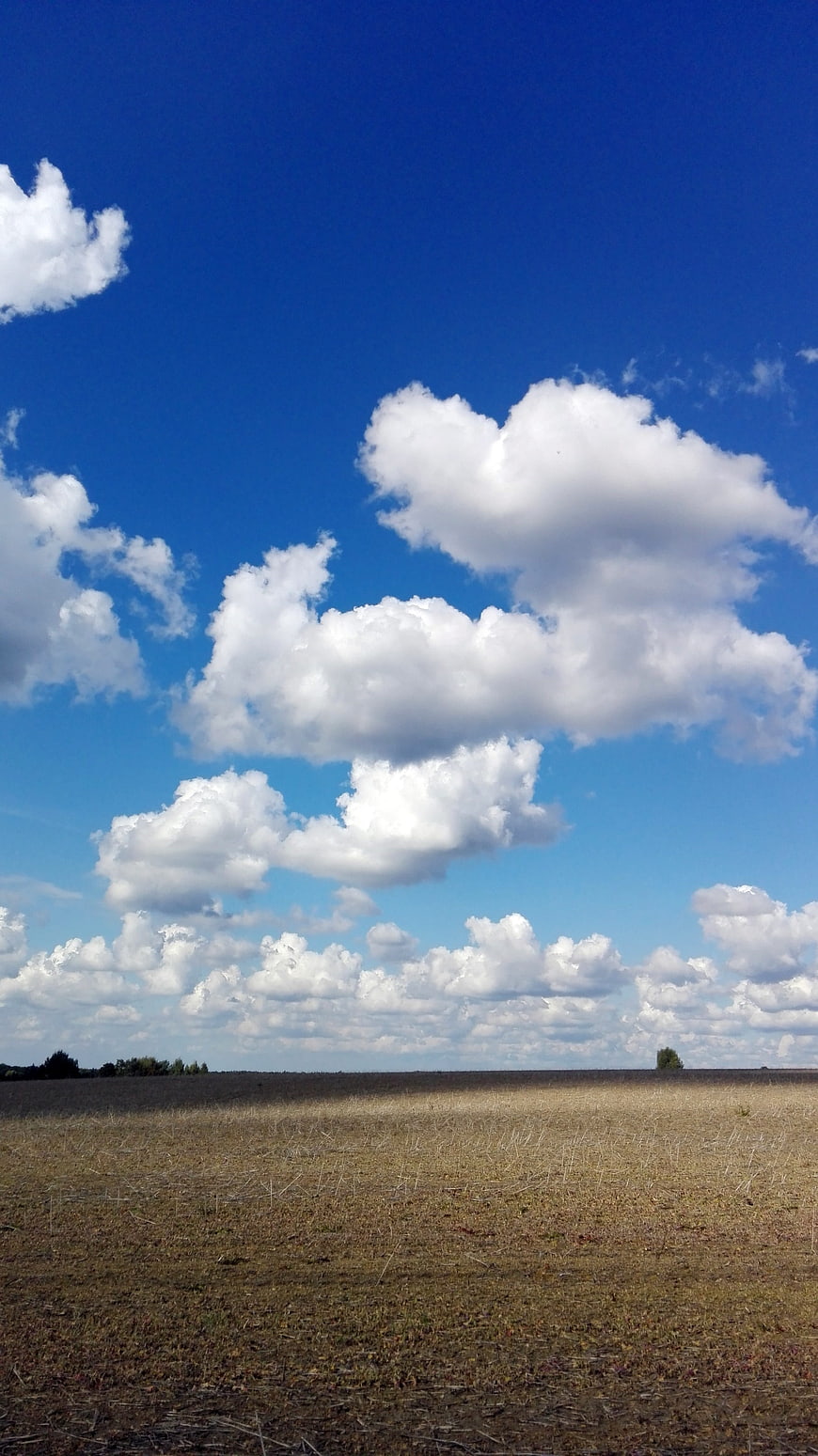 Vast Blue Sky with Fluffy White Clouds Over Harvested Field
