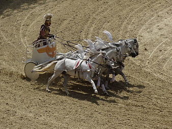 Roman Chariot Race With White Horses In Arena