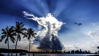 Dramatic Sun Rays Over Miami Skyline and Palm Trees