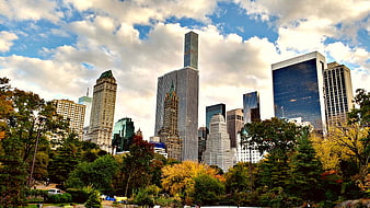 New York City Skyline with Central Park Autumn Trees