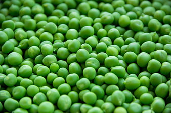 Close-up of fresh green peas filling the frame