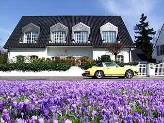 Yellow Porsche 928 parked before a white villa with a field of purple crocuses