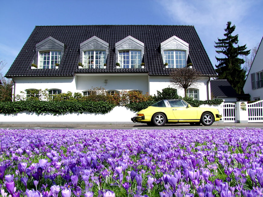 Yellow Porsche 928 parked before a white villa with a field of purple crocuses