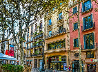 Colorful Barcelona Street Architecture with Trees and Balconies