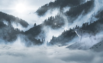 Mystical White Wolf Standing on Snowy Mountain Peak in Fog