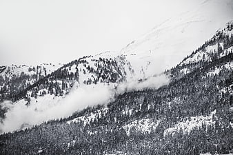 Black and white winter mountain landscape with snow and fog