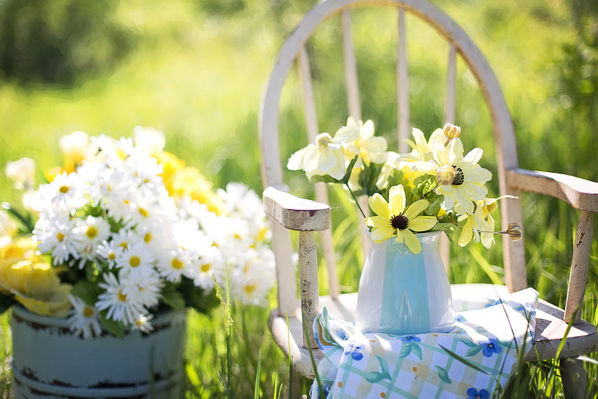 White wooden chair with yellow flowers in a sunny garden