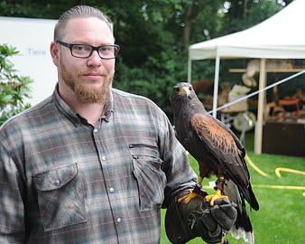 Man with glasses holding a Harris Hawk on gloved hand