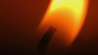 Close-up of burning candle wick with bright flame