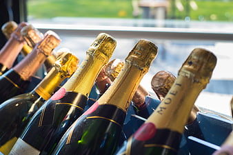 Chilled champagne bottles in ice bucket by window