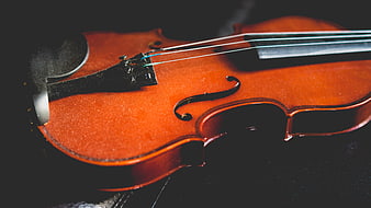 Close-up of a wooden violin on a dark background