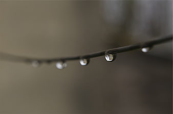 Close-up of water droplets on a wire