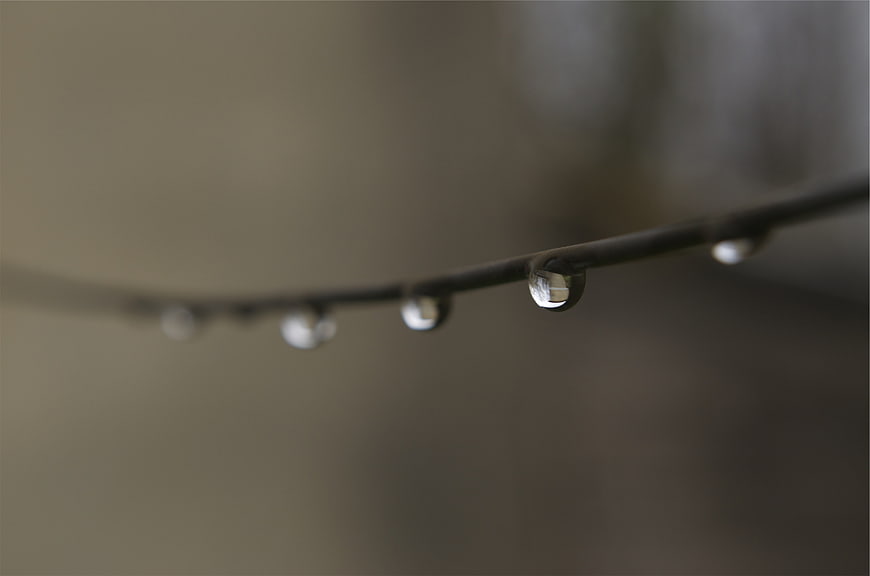 Close-up of water droplets on a wire