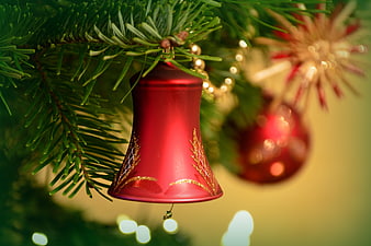 Red Christmas Bell Ornament Hanging on Fir Tree Branch