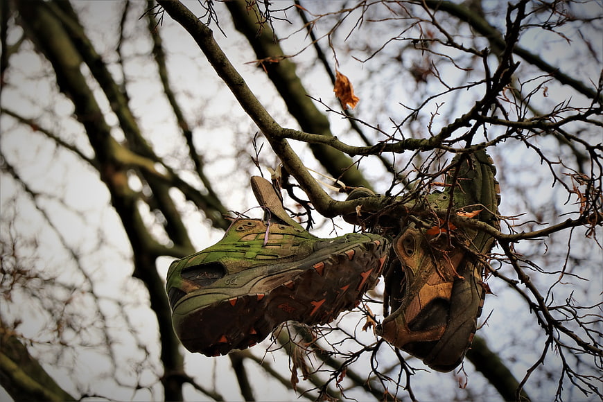 Muddy green hiking boots hanging in bare tree branches