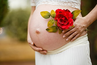 Pregnant Woman Holding Red Rose Against Belly