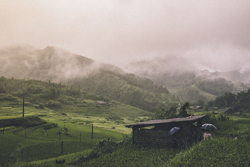 Misty Green Rice Terraces with Rustic Shelter and Umbrellas