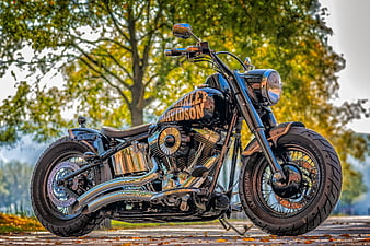 Black Harley Davidson Motorcycle Parked On Autumn Road